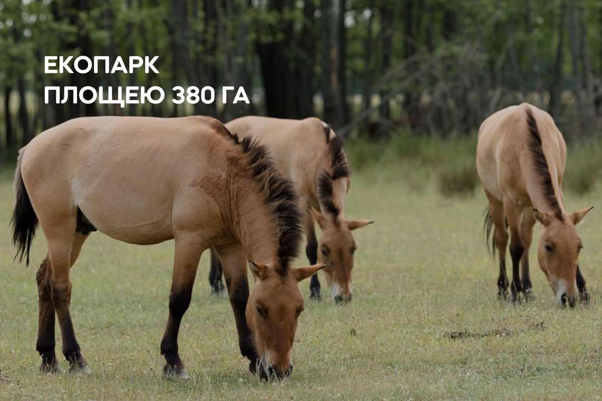 Dereville Sokolovka Ngoại thất bức ảnh