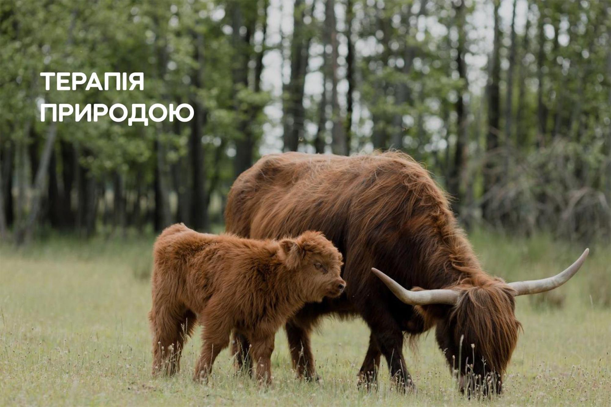 Dereville Sokolovka Ngoại thất bức ảnh